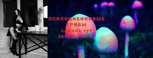 ешки Вязьма