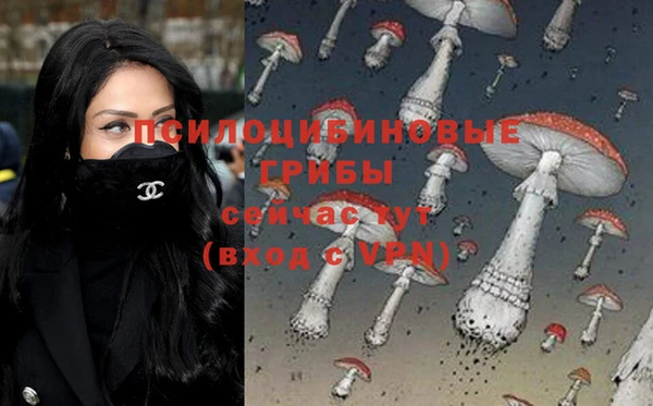 героин Вяземский
