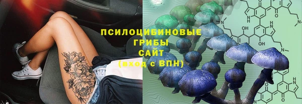 ешки Вязьма